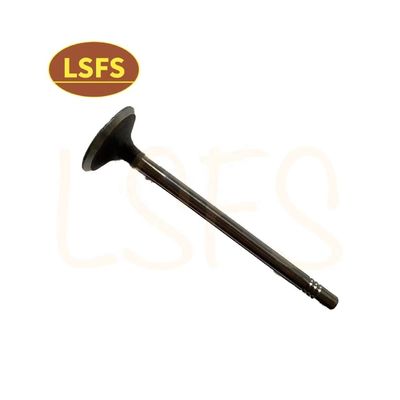G10 MPV Valvola di aspirazione personalizzata per Maxus D90 G20 T60 OEM C00111120